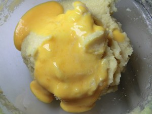 takenoko_cuit13_160412