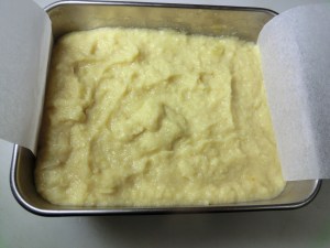 takenoko_cuit14_160412