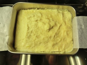 takenoko_cuit15_160412