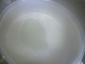 takenoko_cuit3_160412