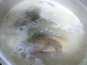 takenoko_cuit4_160412