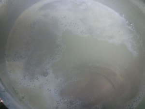 takenoko_cuit5_160412