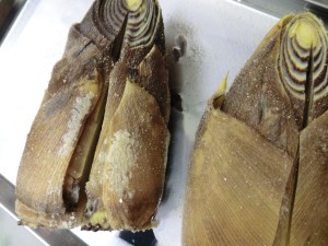 takenoko_cuit7_160412