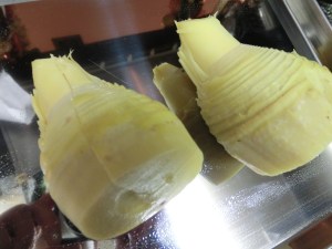 takenoko_cuit8_160412