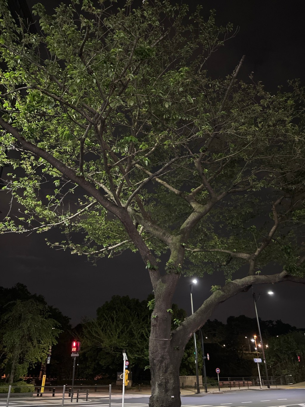 本日の営業について(台風の影響)